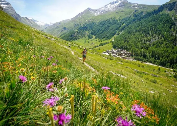 Marcel - Cosy Haven Mont Blanc Chamonix