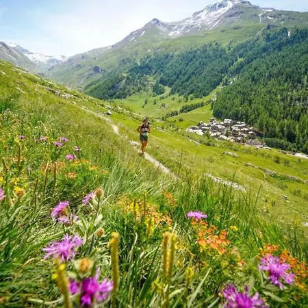 Marcel - Cosy Haven Mont Blanc שאמוני